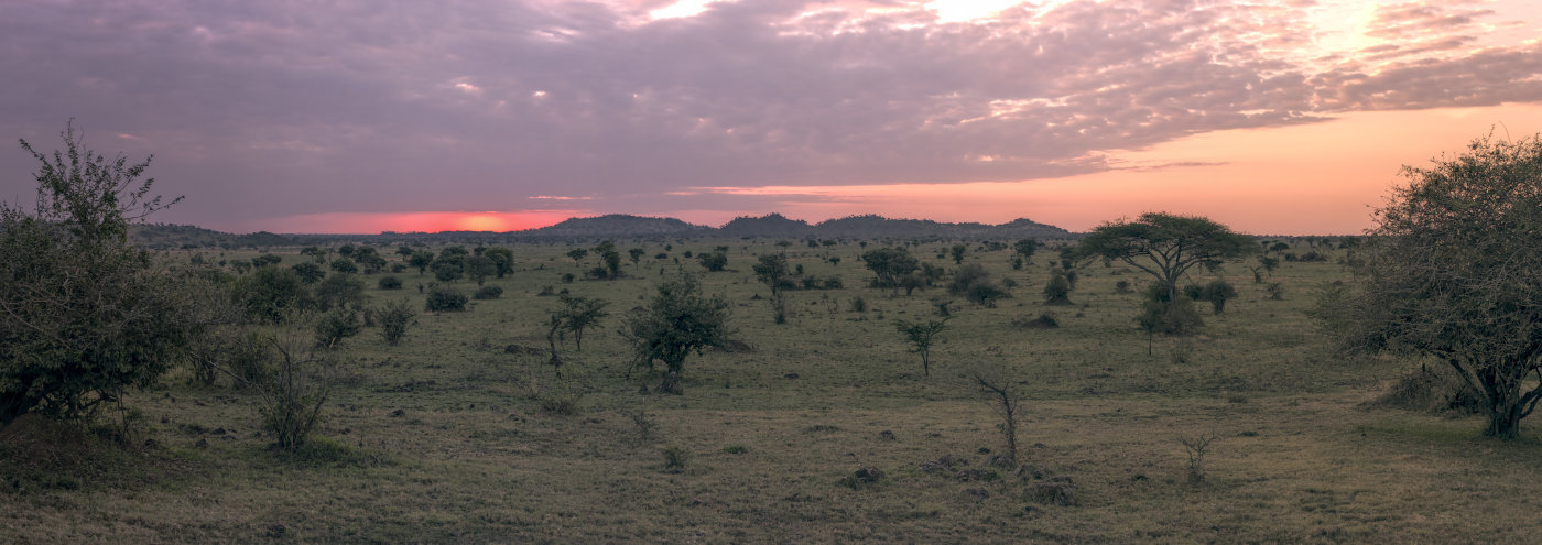 Grumeti Migration Camp