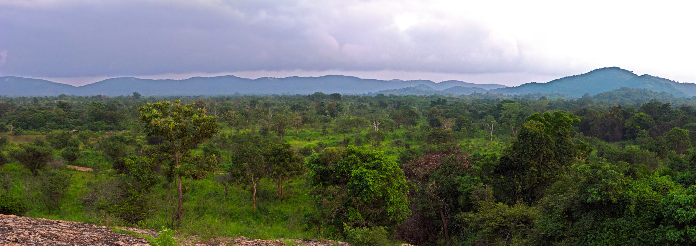 Panorama of Hurulu Eco Park, Sri Lanka