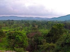 Panorama of Hurulu Eco Park, Sri Lanka